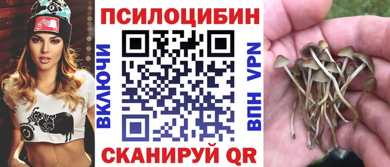 магазин продажи наркотиков  Городище  Галлюциногенные грибы мицелий 